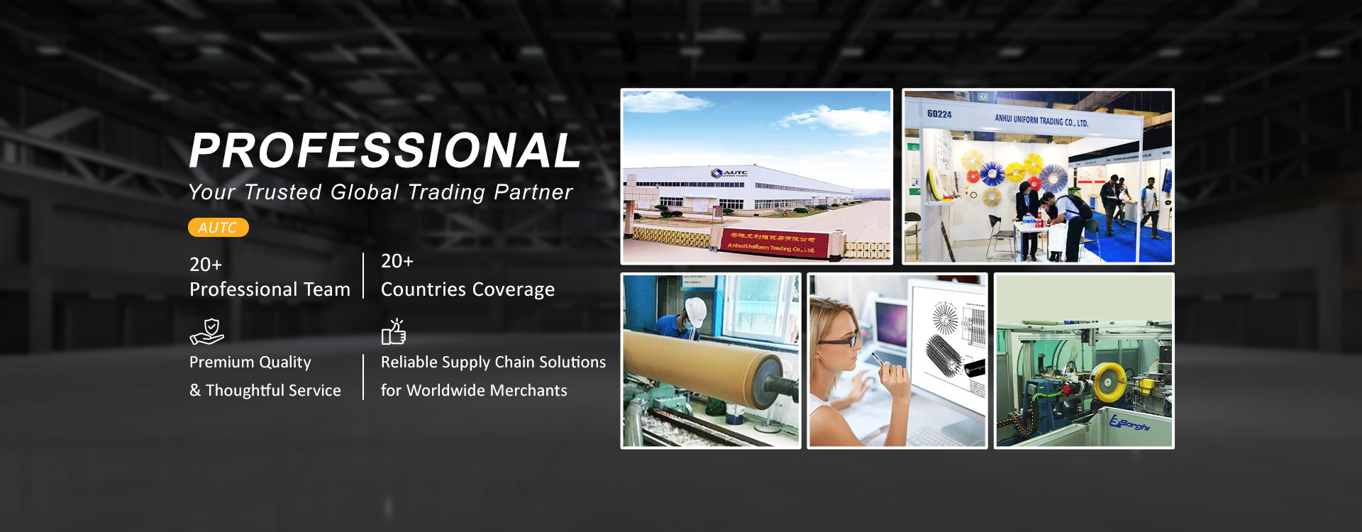 qualità Spazzola della spazzatrice della neve Fabbrica