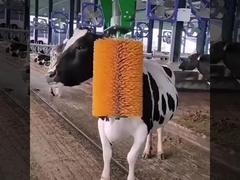 Massaggiatore a spazzola automatico con motore giallo verde